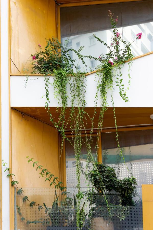 הו צ'י מין סיטי Cactusland Boutique Hotel מראה חיצוני תמונה